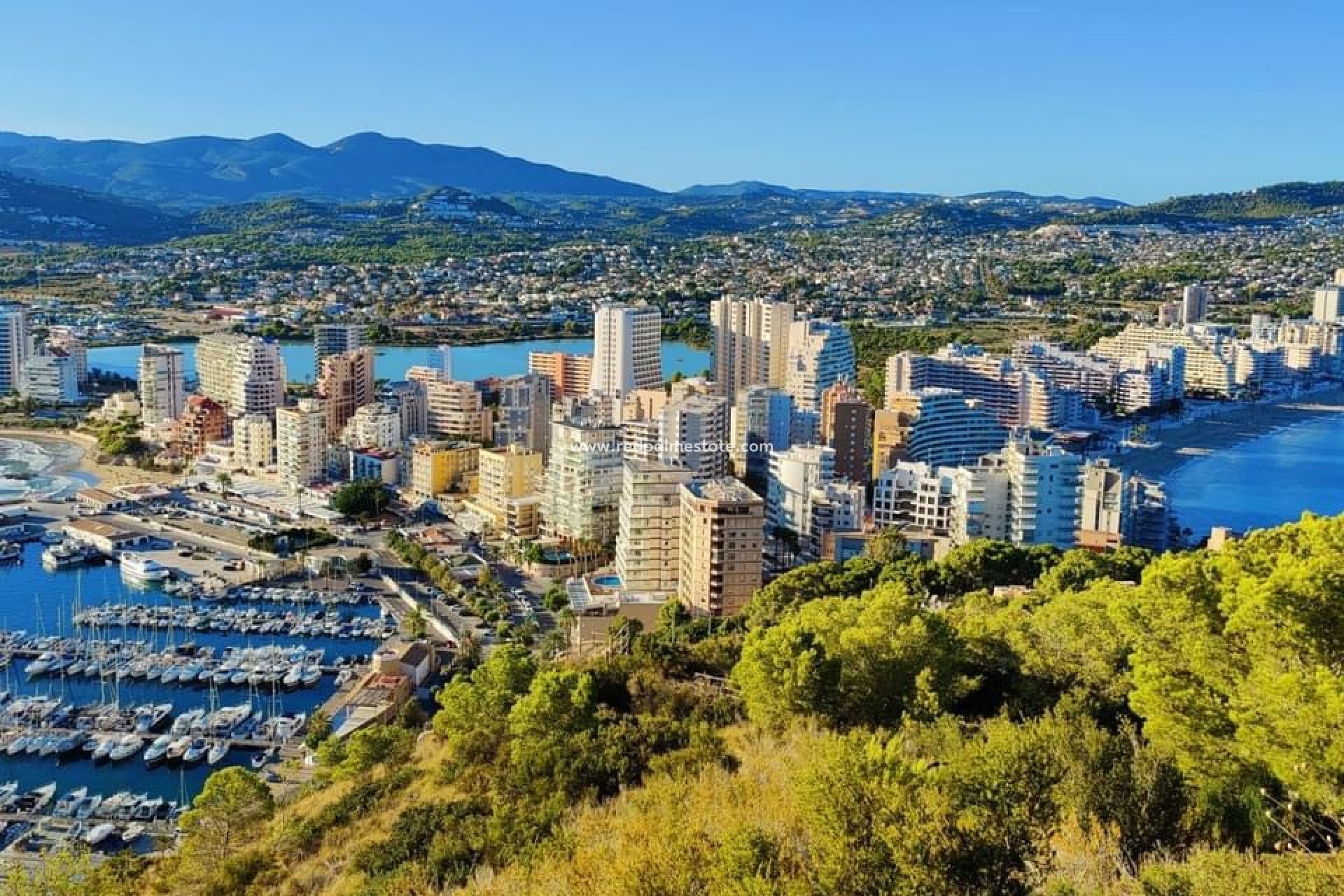 Revente - Entreprise -
Calpe