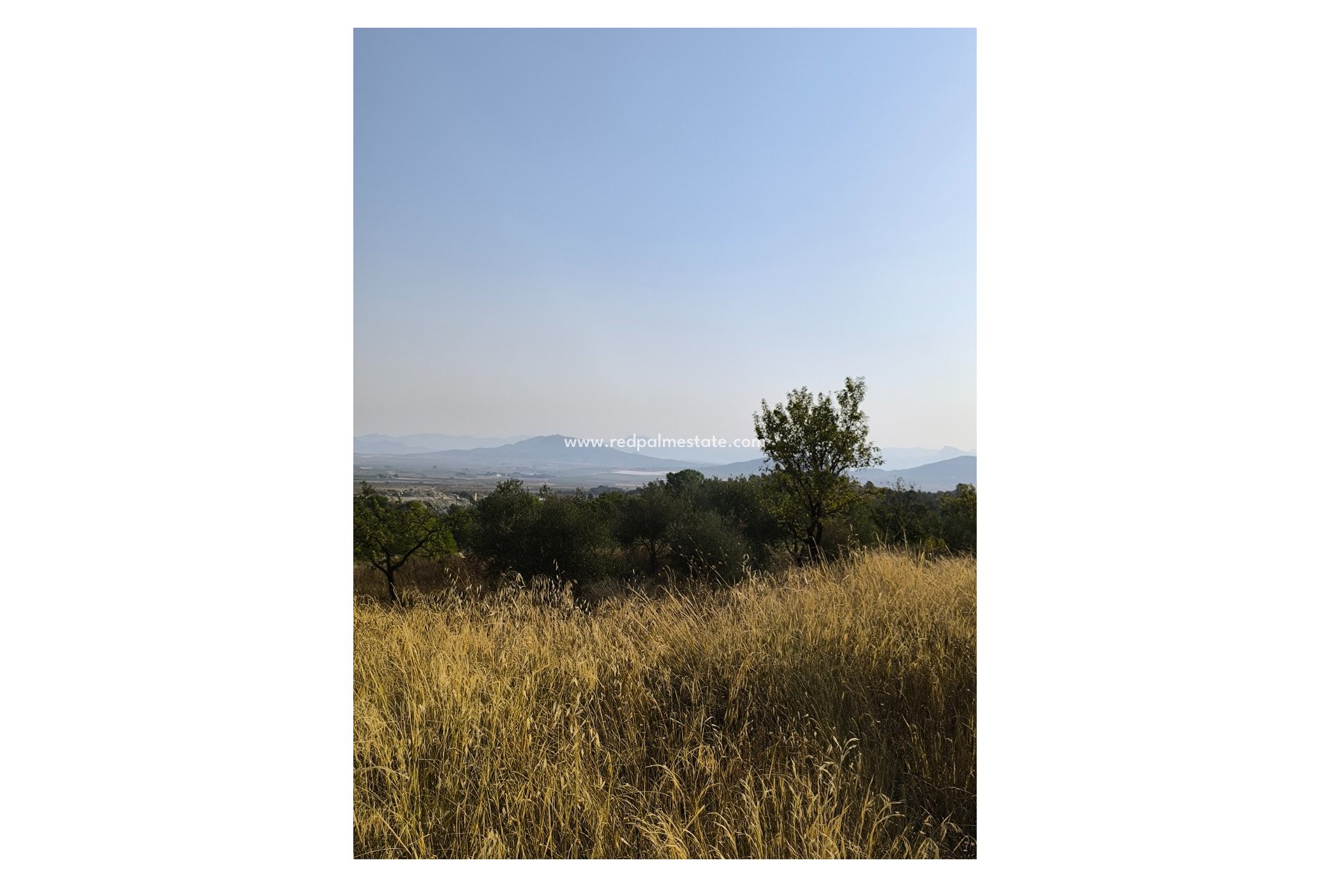 Revente - Entreprise -
Casas del Senor - Inland