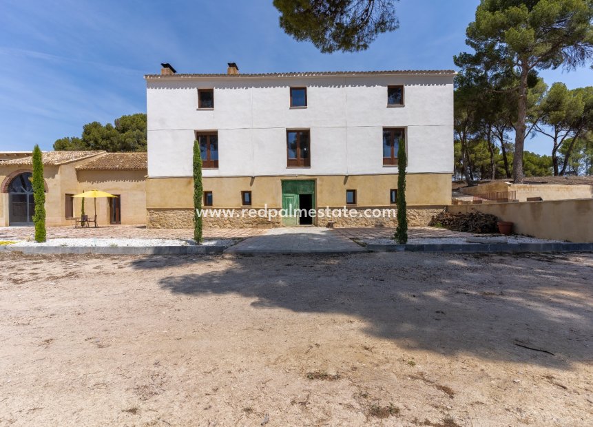 Revente - Entreprise -
Castalla - Inland