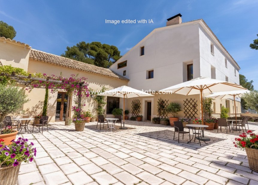 Revente - Entreprise -
Castalla - Inland