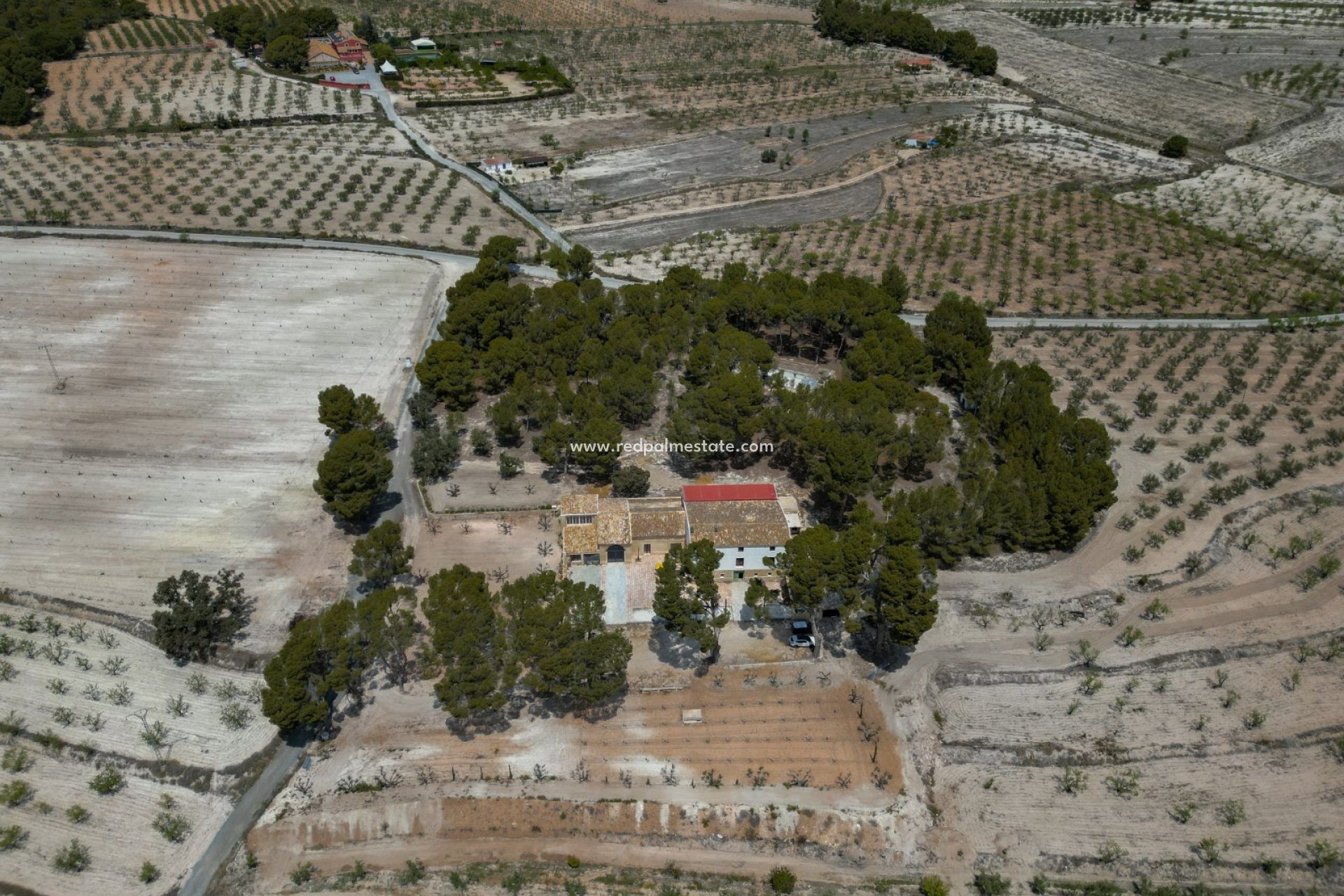 Revente - Entreprise -
Castalla - Inland