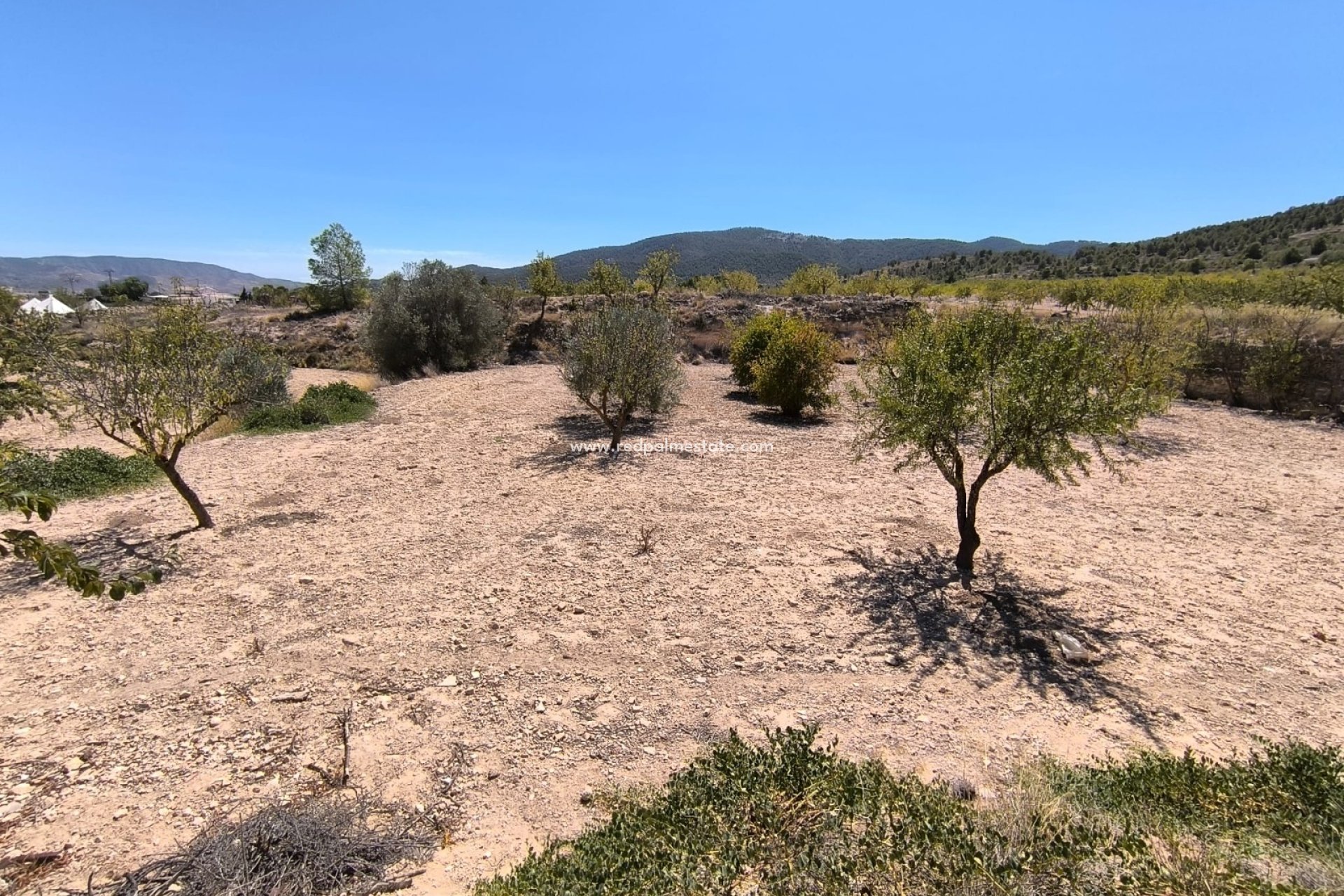 Revente - Entreprise -
Chinorlet - Inland