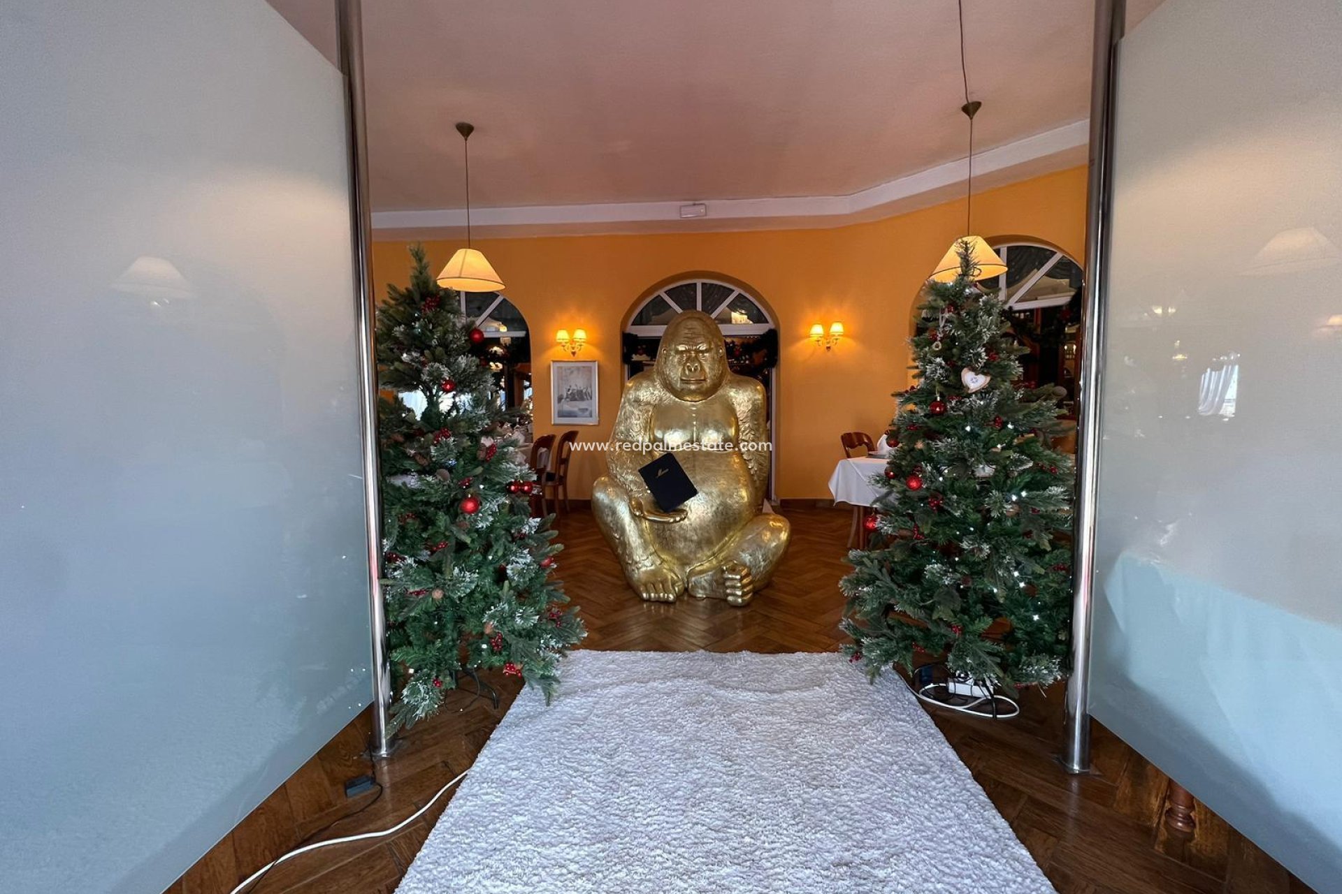 Revente - Entreprise -
Ciudad Quesada/Rojales - Ciudad Quesada