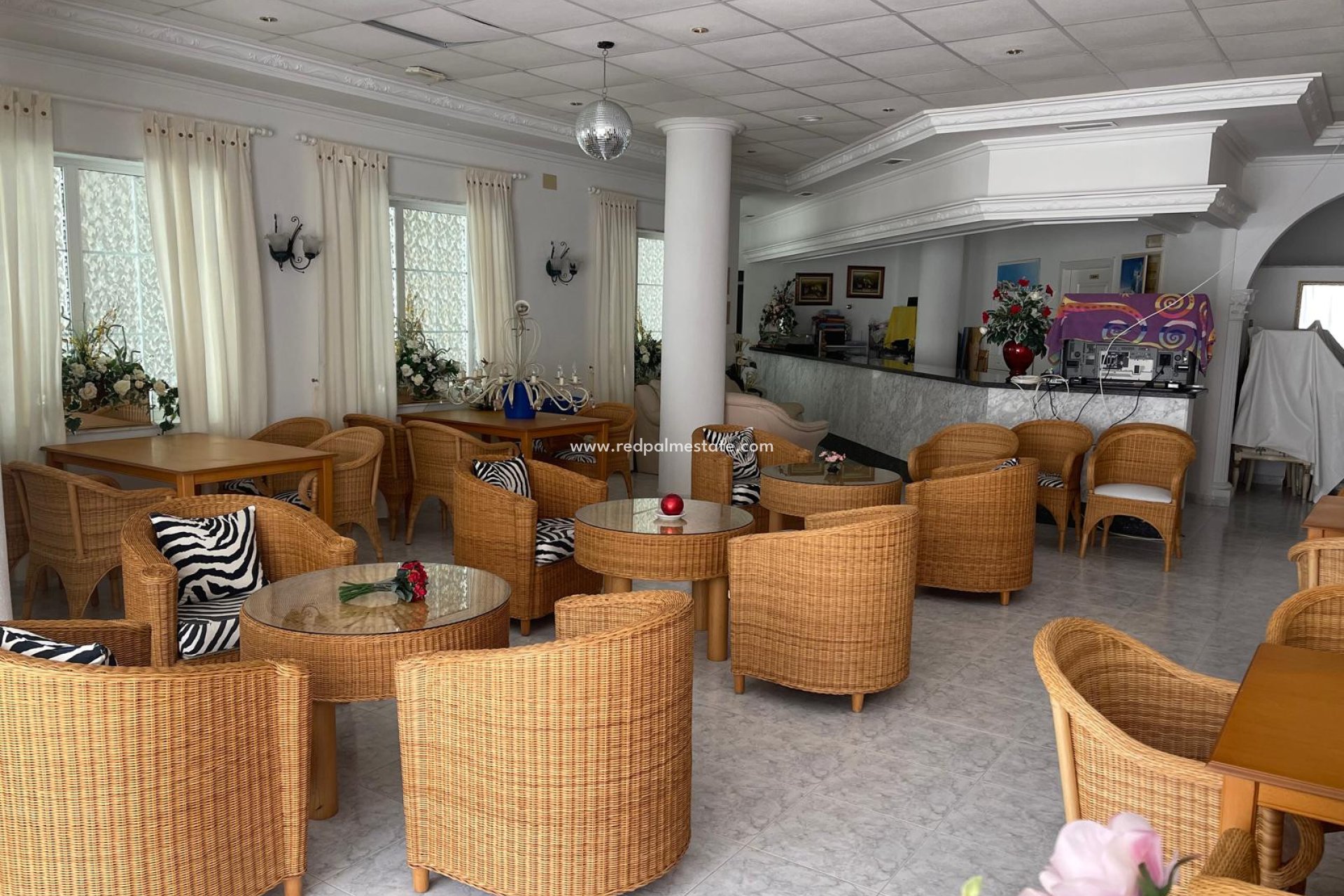 Revente - Entreprise -
Guardamar del Segura - Costa Blanca