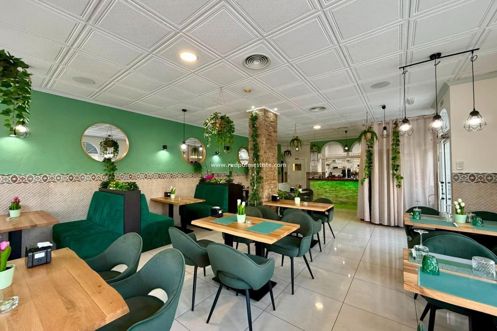 Revente - Entreprise -
Guardamar del Segura - Guardamar