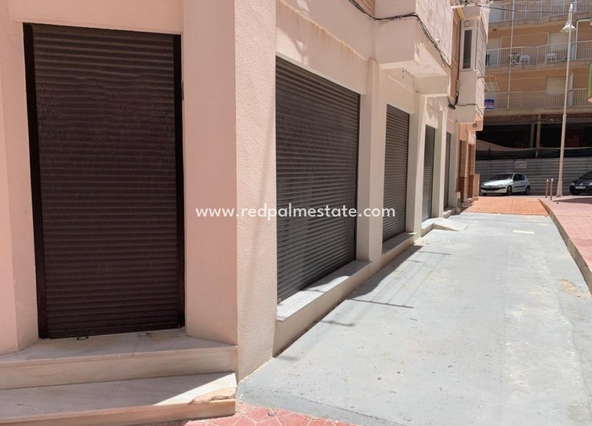 Revente - Entreprise -
Guardamar del Segura - Guardamar