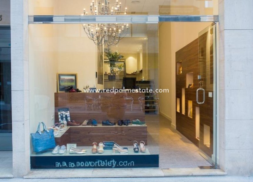 Revente - Entreprise -
Guardamar del Segura - Guardamar