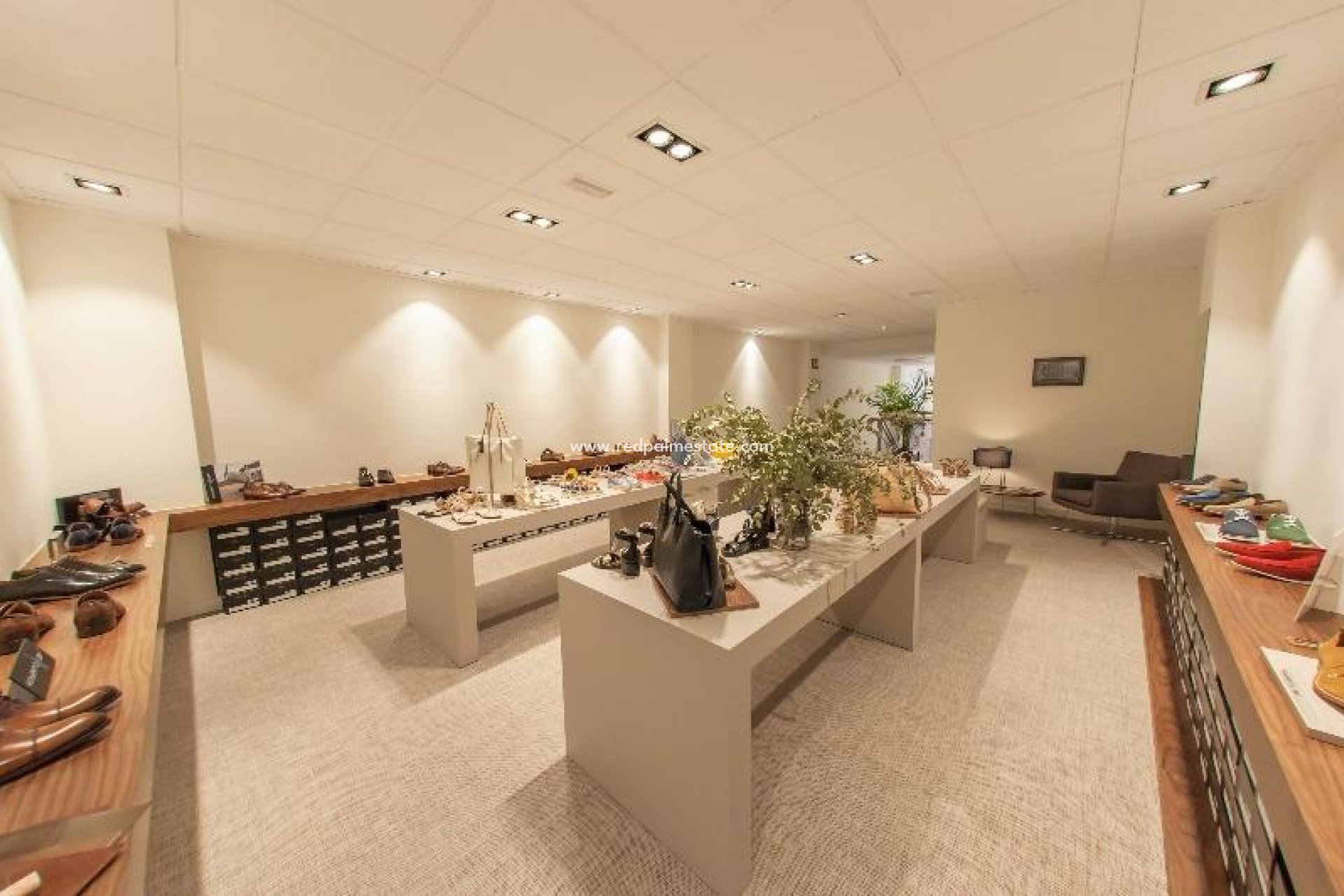 Revente - Entreprise -
Guardamar del Segura - Guardamar