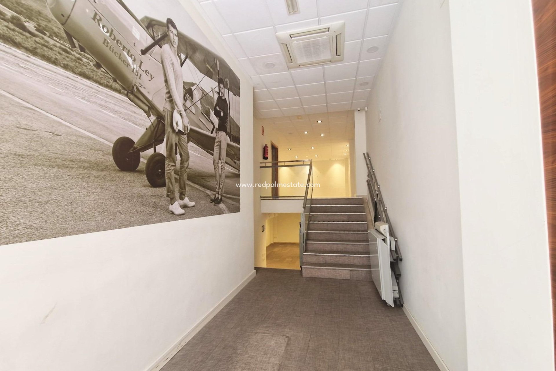 Revente - Entreprise -
Guardamar del Segura - Guardamar