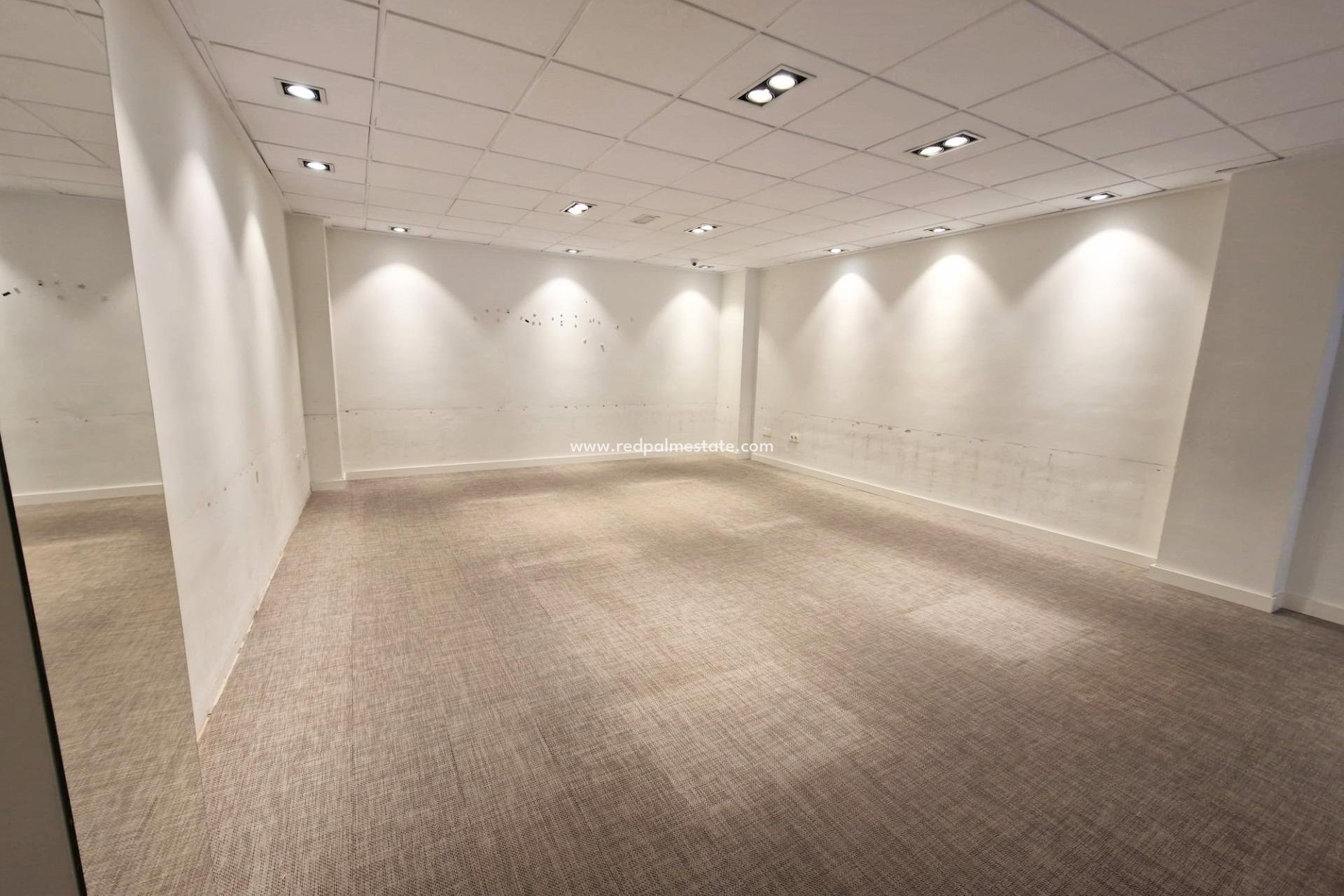 Revente - Entreprise -
Guardamar del Segura - Guardamar