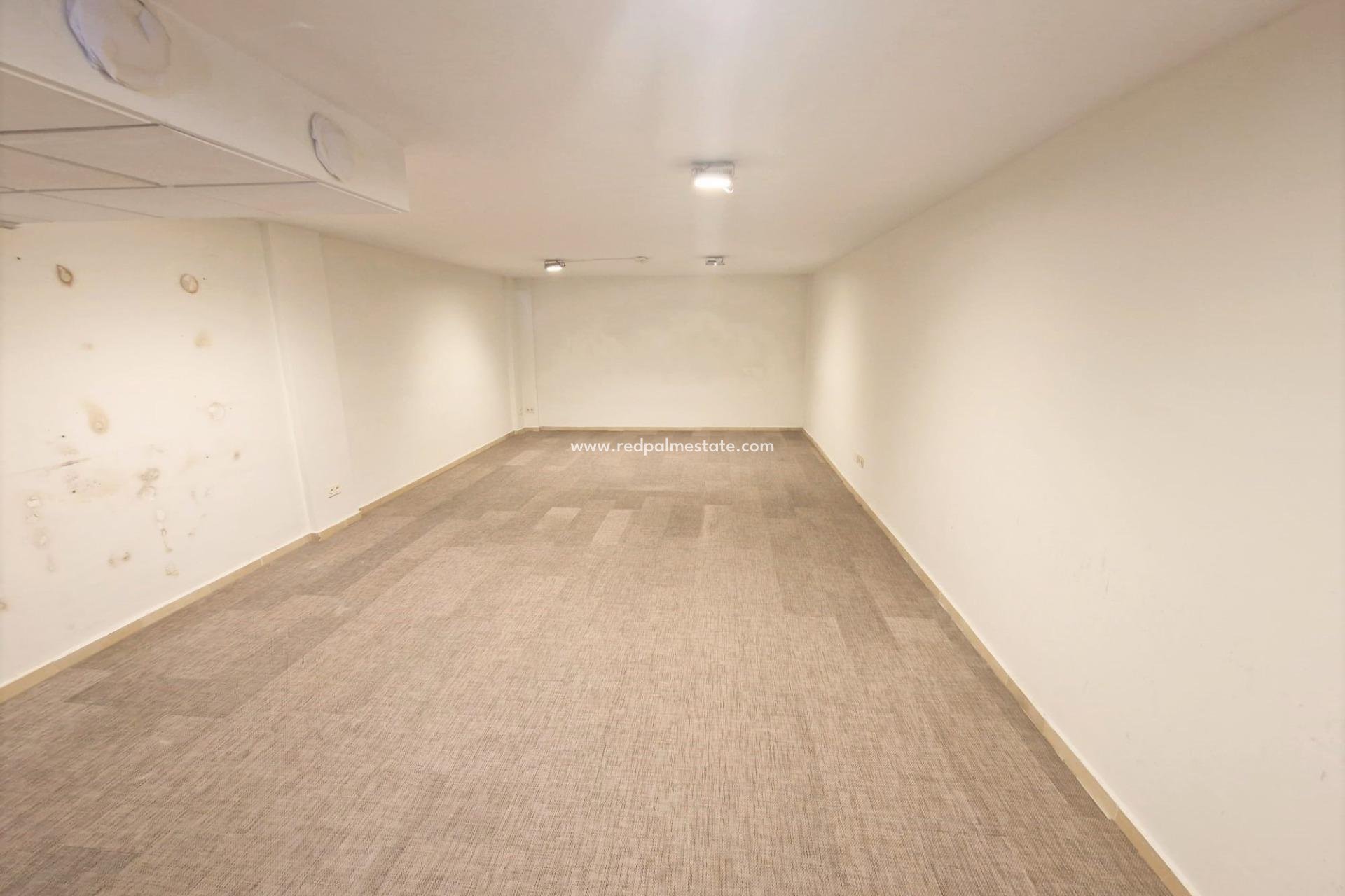 Revente - Entreprise -
Guardamar del Segura - Guardamar