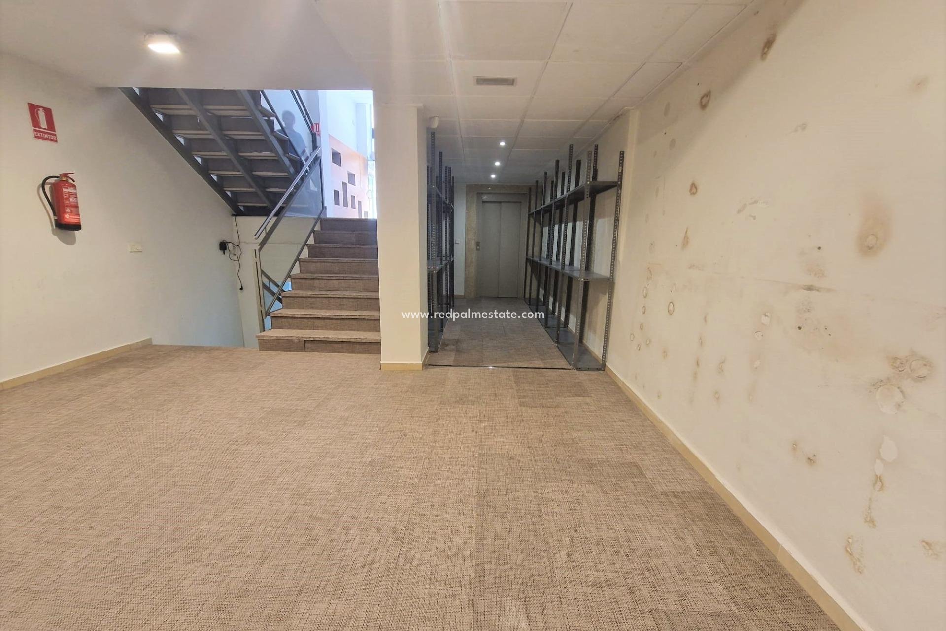 Revente - Entreprise -
Guardamar del Segura - Guardamar