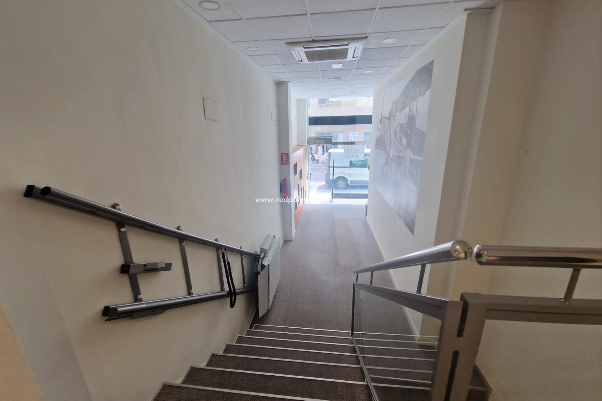 Revente - Entreprise -
Guardamar del Segura - Guardamar