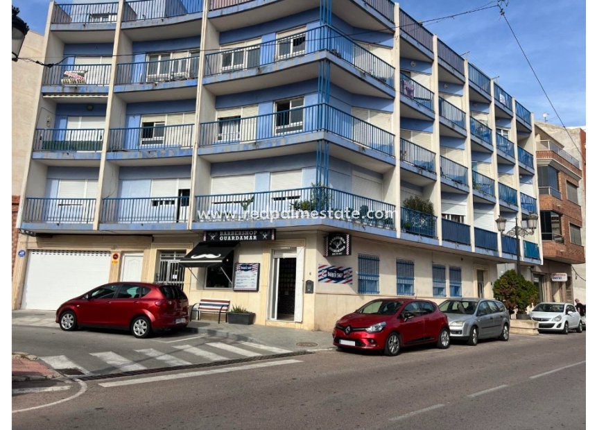 Revente - Entreprise -
Guardamar del Segura - Guardamar