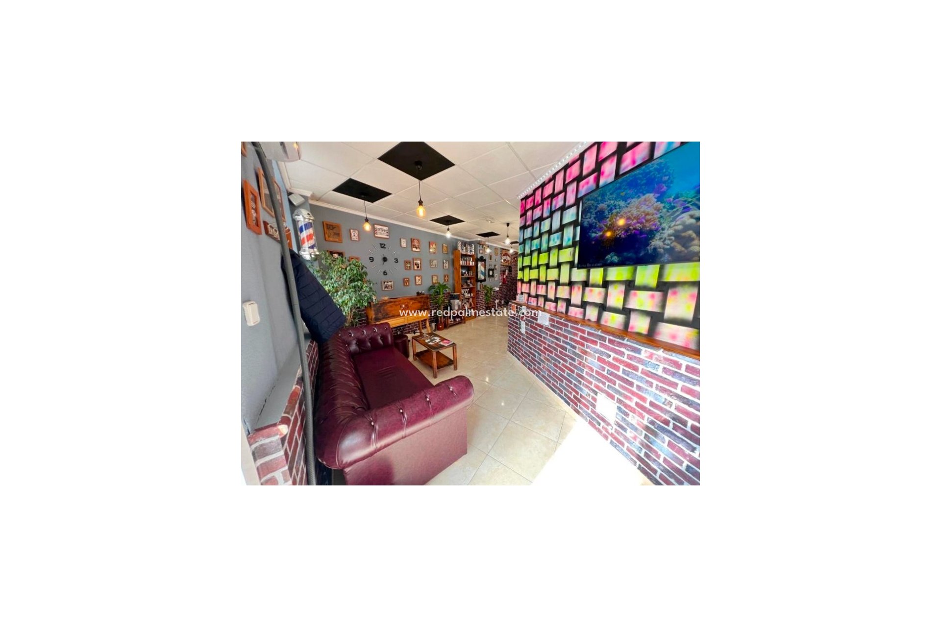 Revente - Entreprise -
Guardamar del Segura - Guardamar