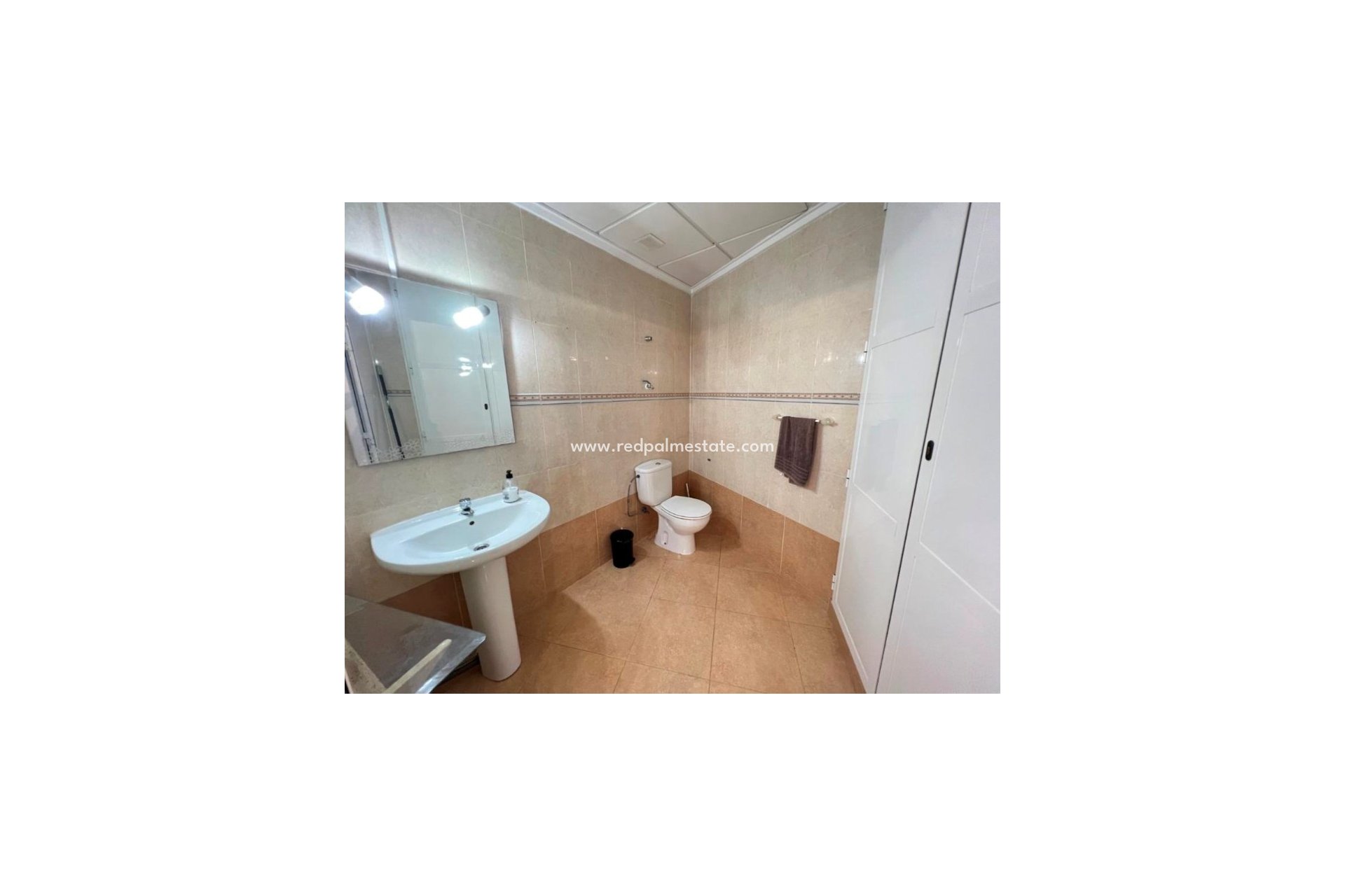 Revente - Entreprise -
Guardamar del Segura - Guardamar