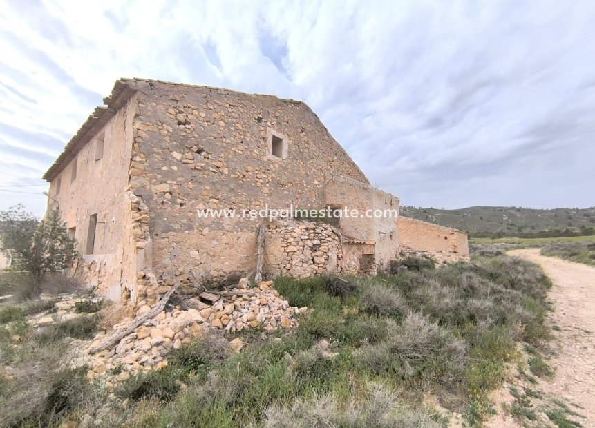 Revente - Entreprise -
Las Encebras - Inland