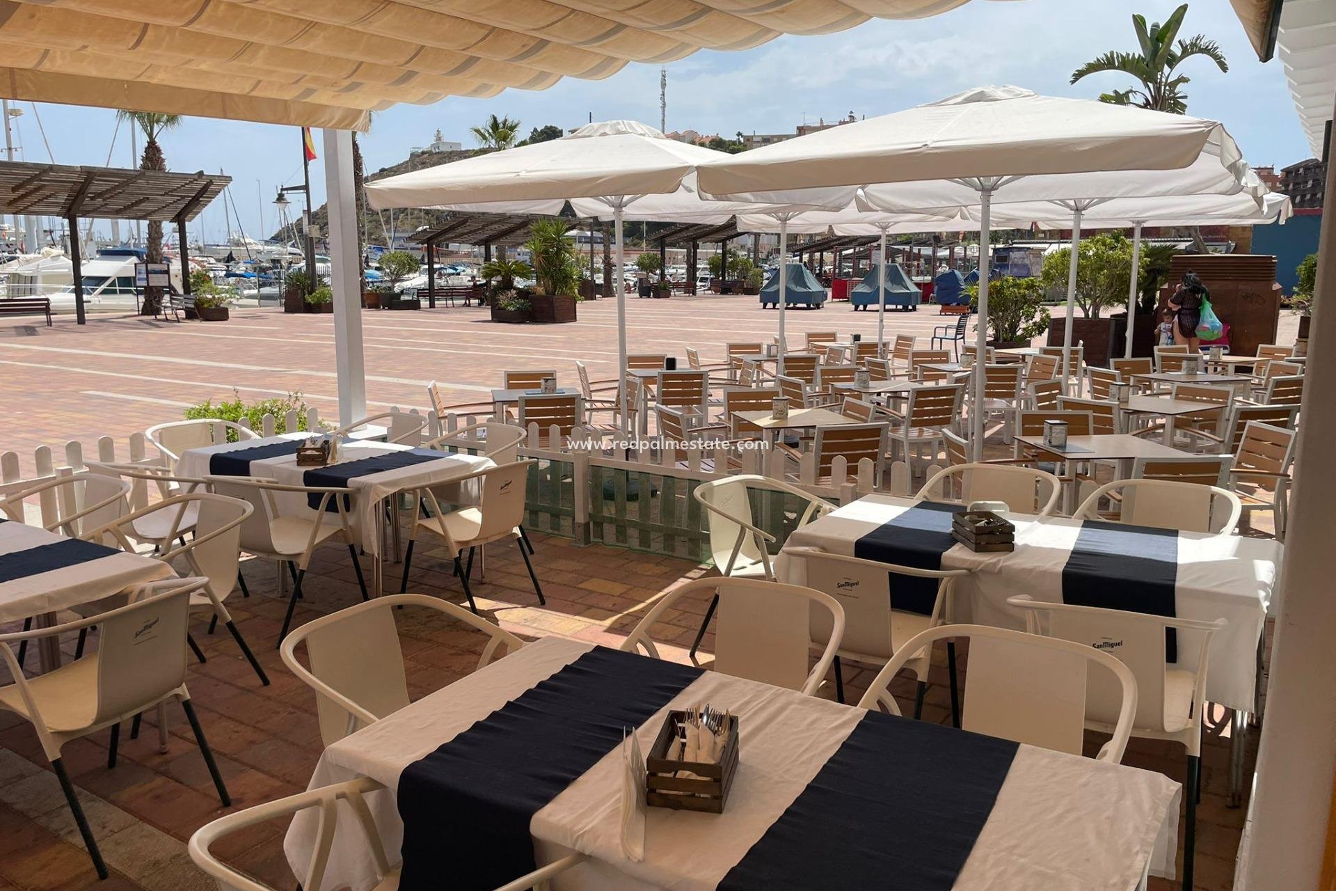 Revente - Entreprise -
Mazarron - Paseo