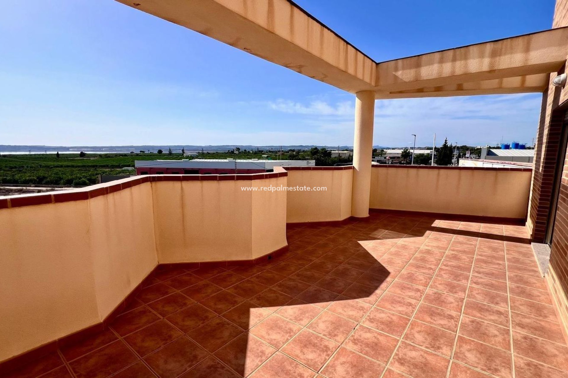 Revente - Entreprise -
Montesinos - Los Montesinos