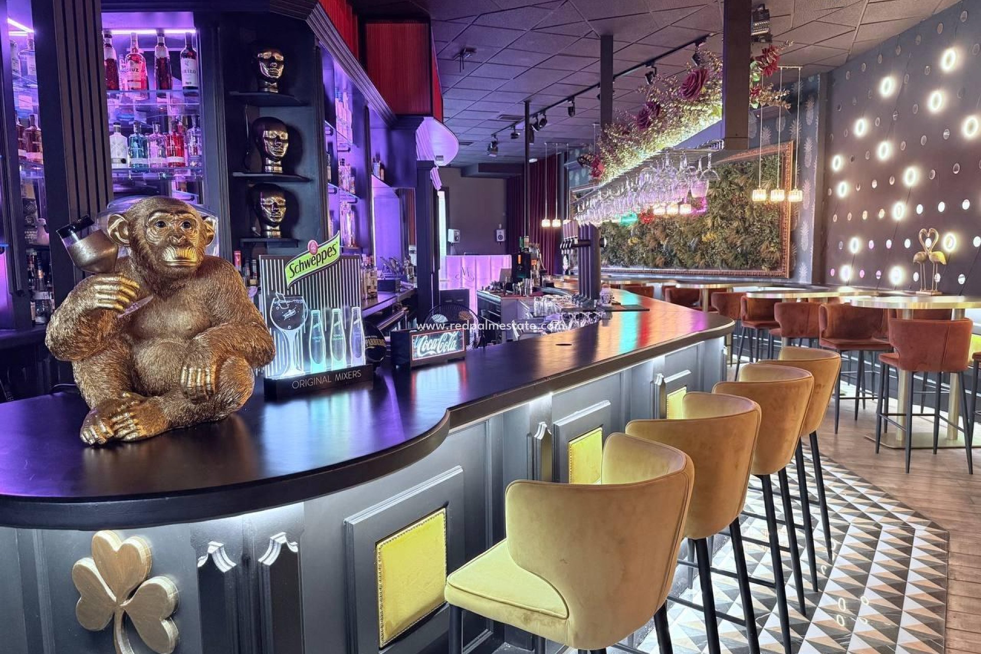 Revente - Entreprise -
Orihuela Costa - Cabo Roig