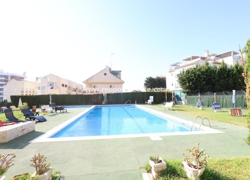 Revente - Entreprise -
Orihuela Costa - Costa Blanca