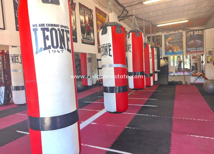 Revente - Entreprise -
Orihuela Costa - La Fuente