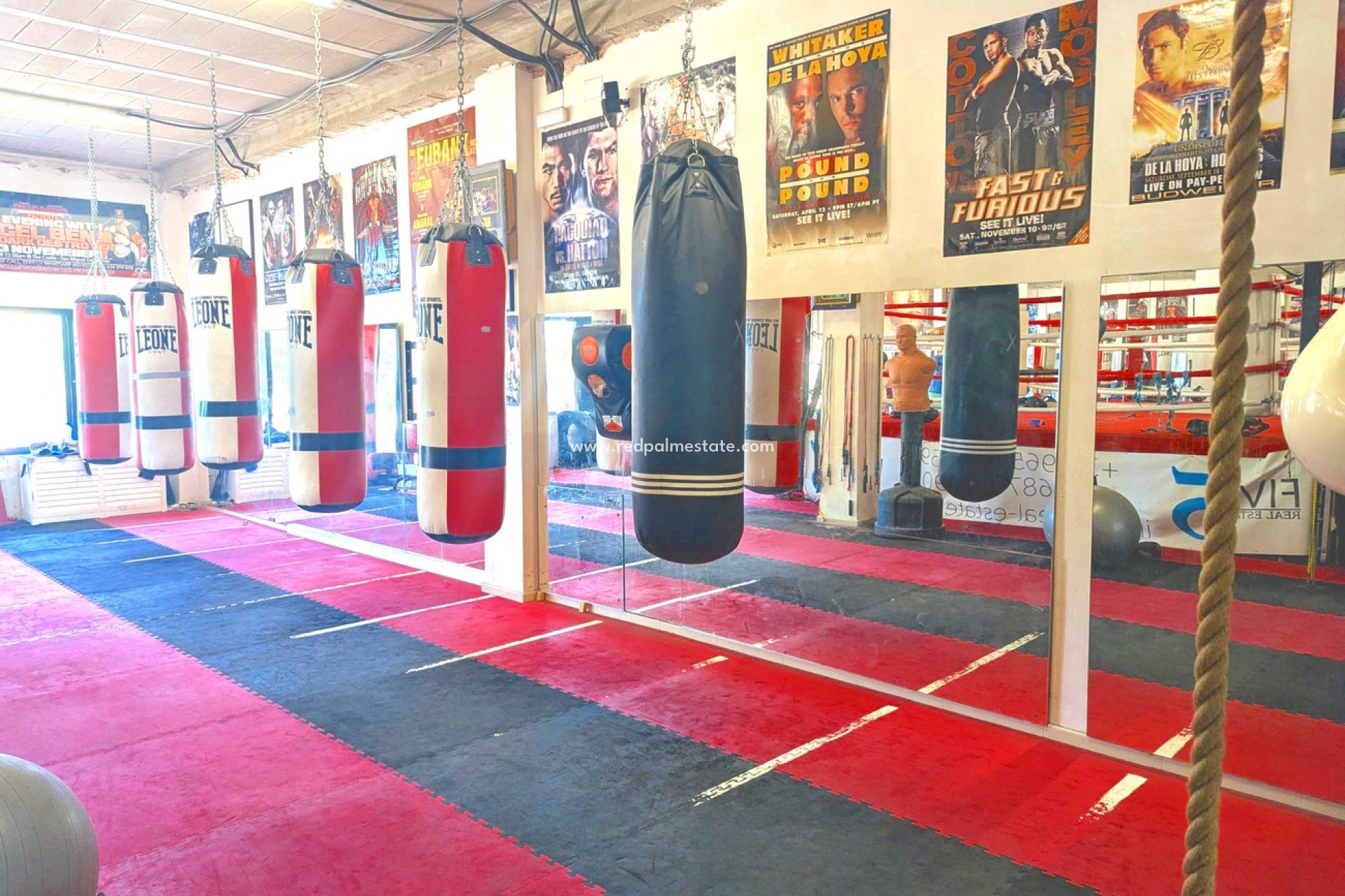 Revente - Entreprise -
Orihuela Costa - La Fuente