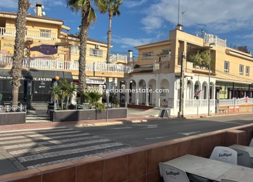 Revente - Entreprise -
Orihuela Costa