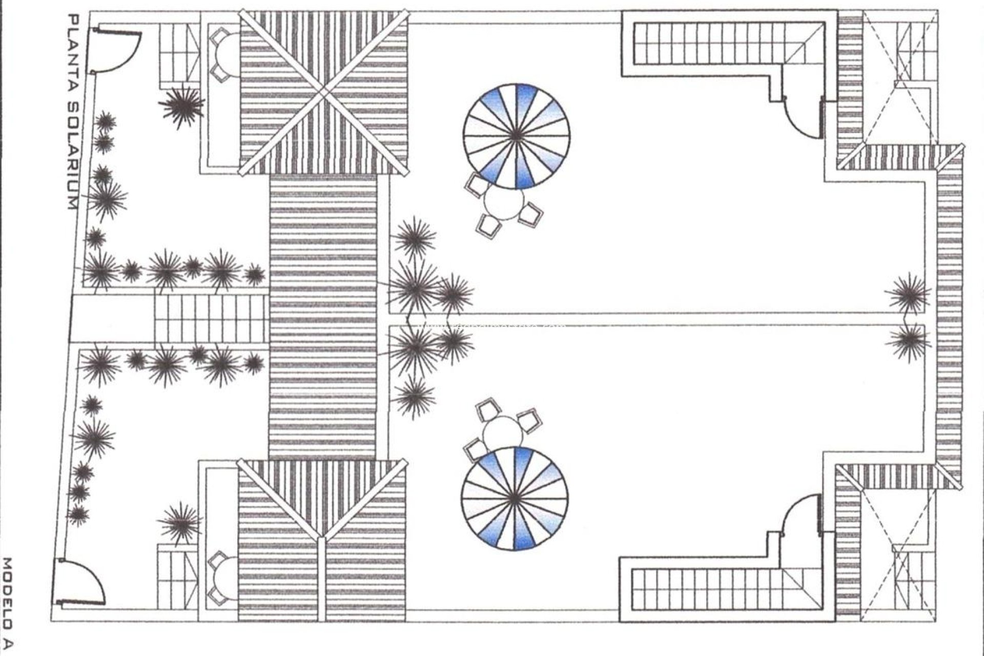 Revente - Entreprise -
Orihuela - Zona Centro
