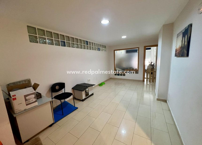 Revente - Entreprise -
Orihuela - Zona Centro