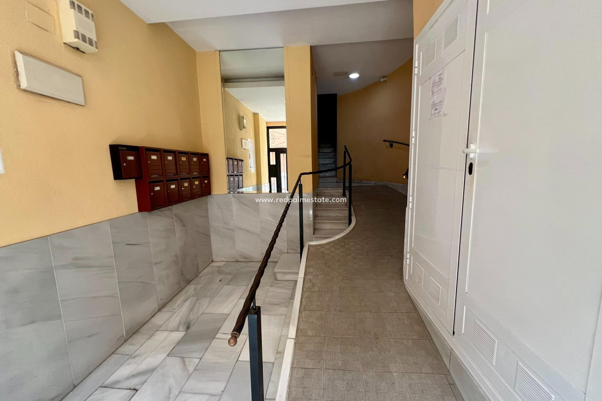 Revente - Entreprise -
Orihuela - Zona Centro