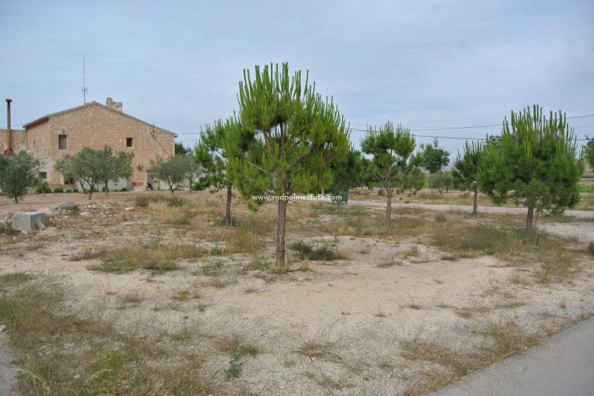 Revente - Entreprise -
Pinoso - Inland