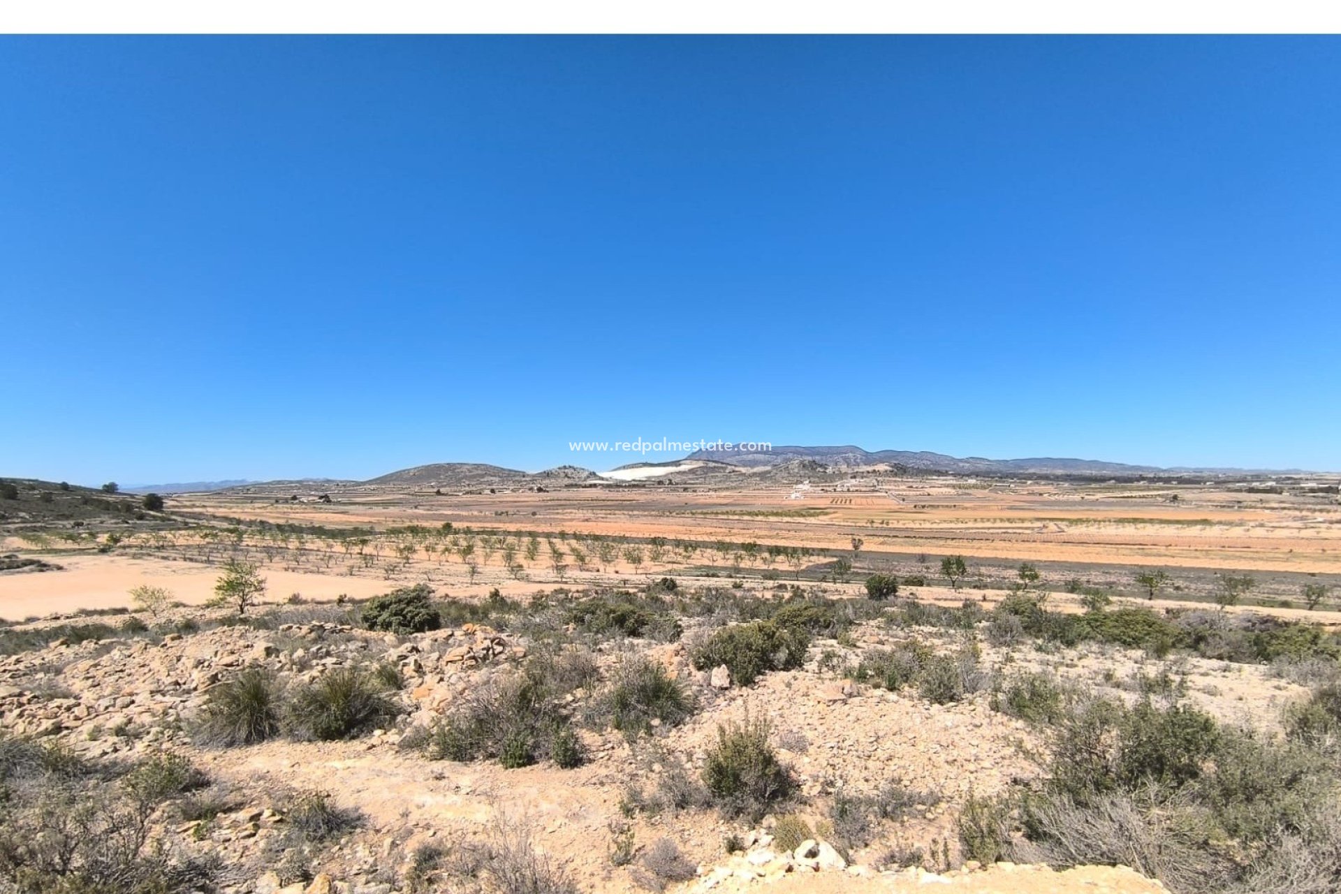 Revente - Entreprise -
Rodriguillo - Inland