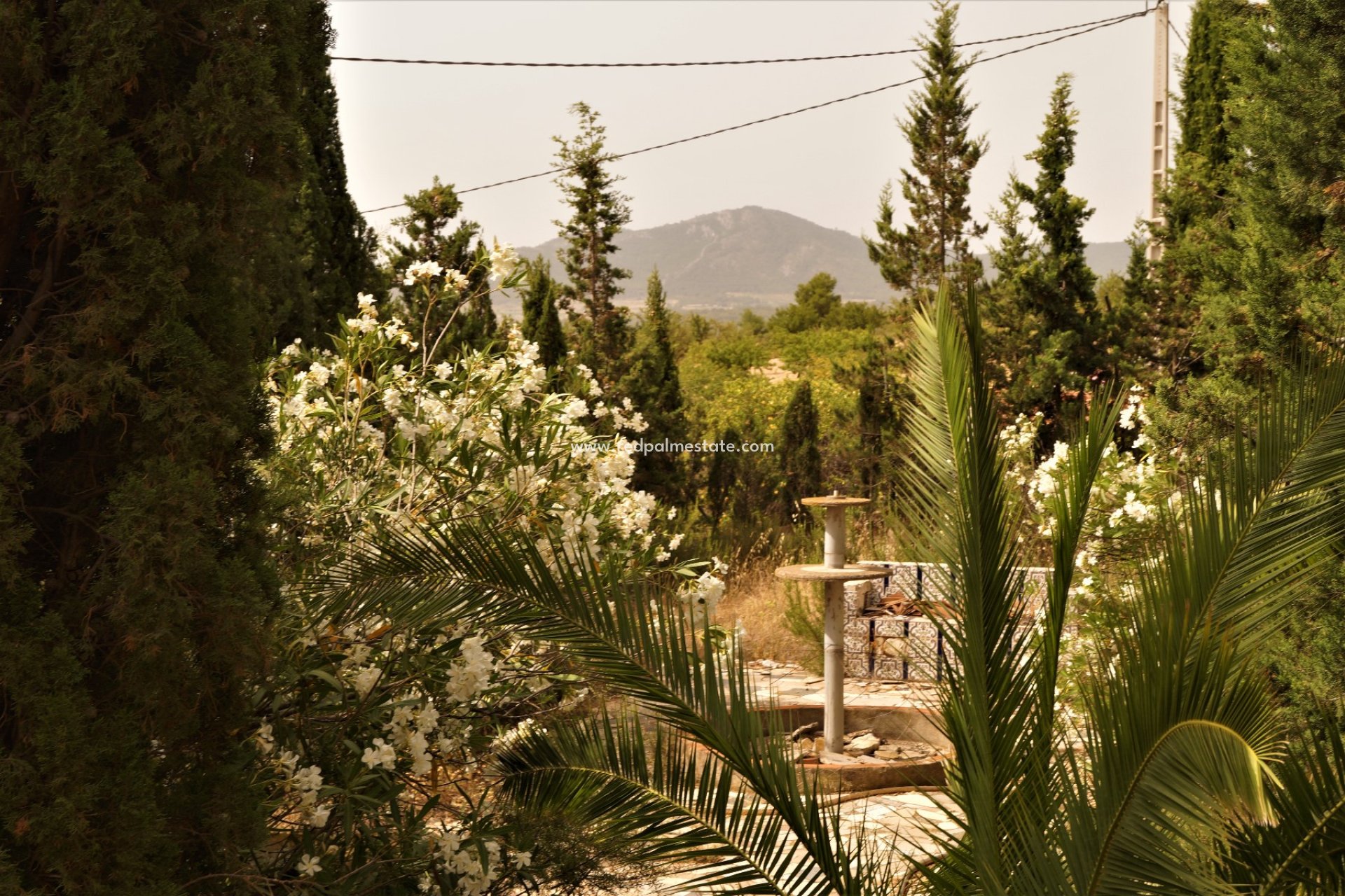 Revente - Entreprise -
Salinas - Inland