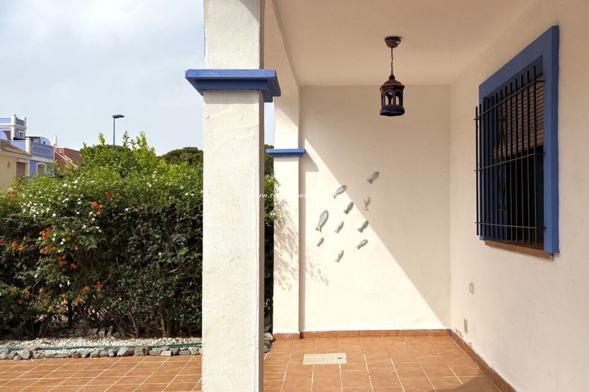 Revente - Entreprise -
San Javier - Roda