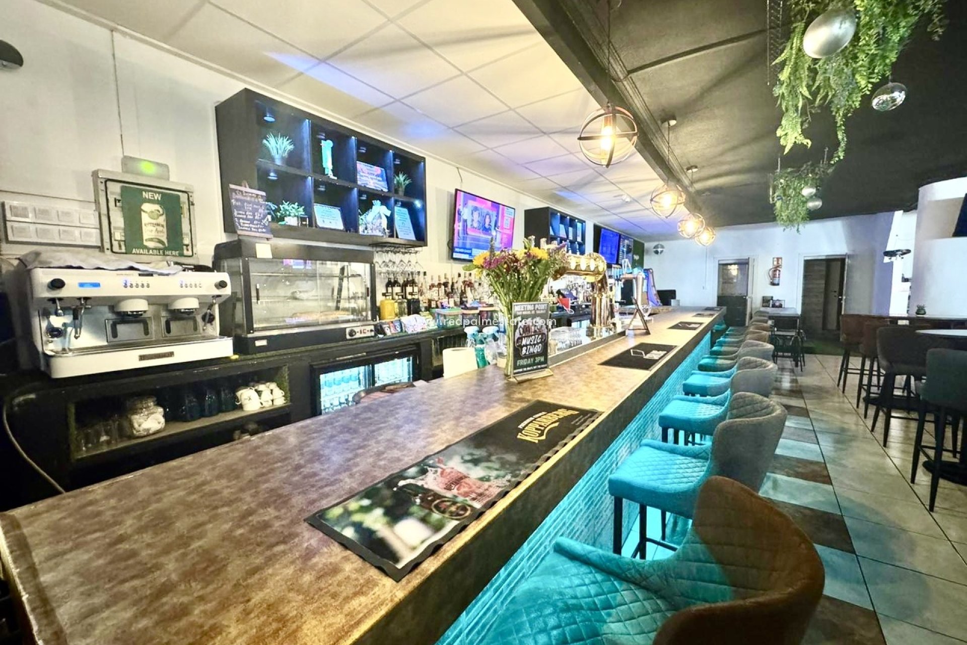 Revente - Entreprise -
San Miguel de Salinas - Inland