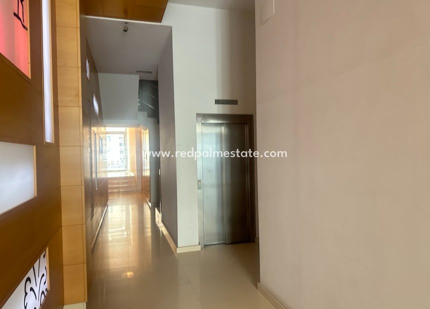 Revente - Entreprise -
San Pedro del Pinatar - Costa Calida