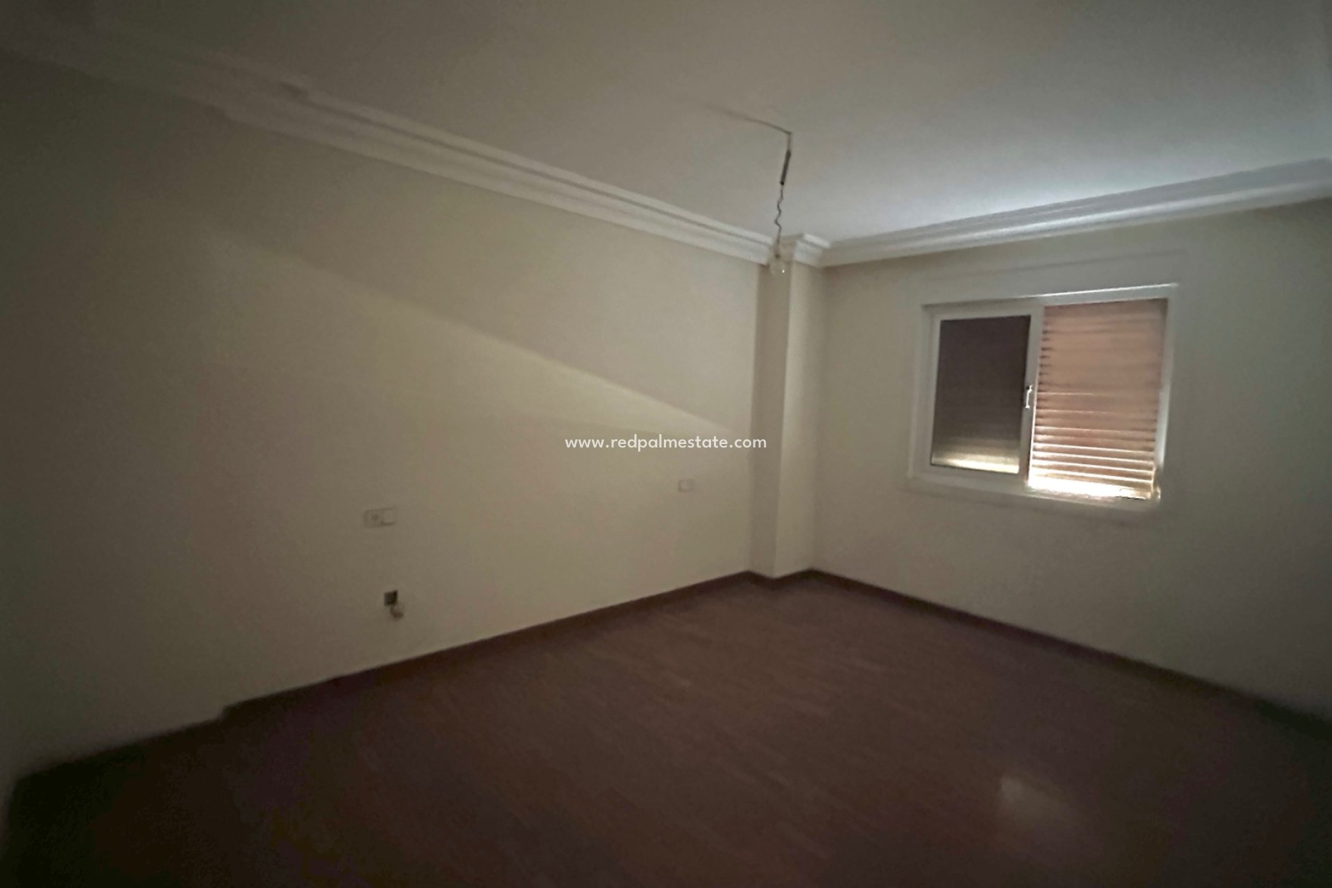 Revente - Entreprise -
San Pedro del Pinatar - San Pedro de Pinatar