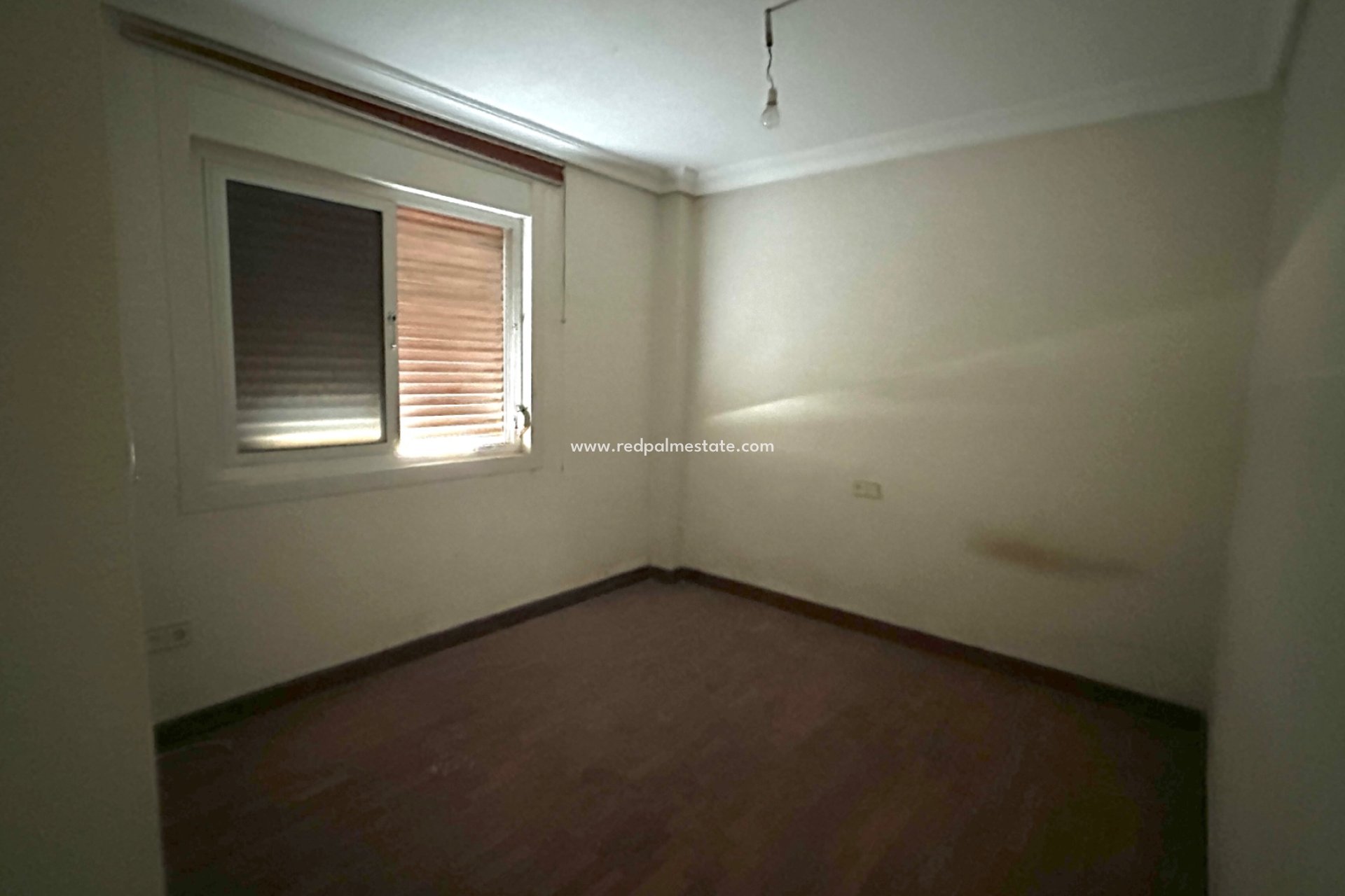 Revente - Entreprise -
San Pedro del Pinatar - San Pedro de Pinatar