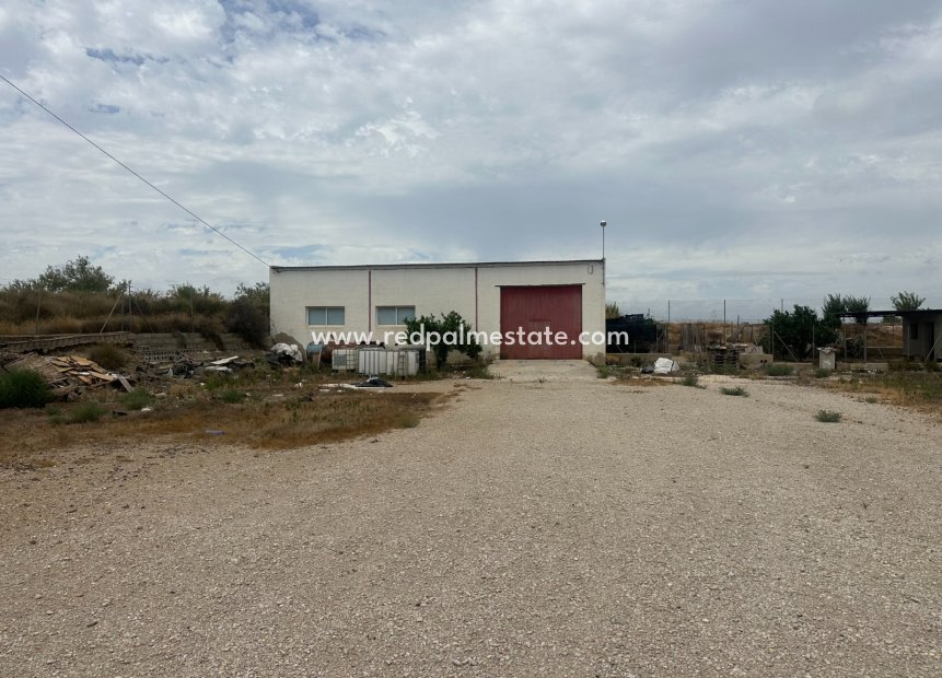 Revente - Entreprise -
Torremendo