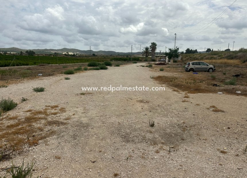 Revente - Entreprise -
Torremendo