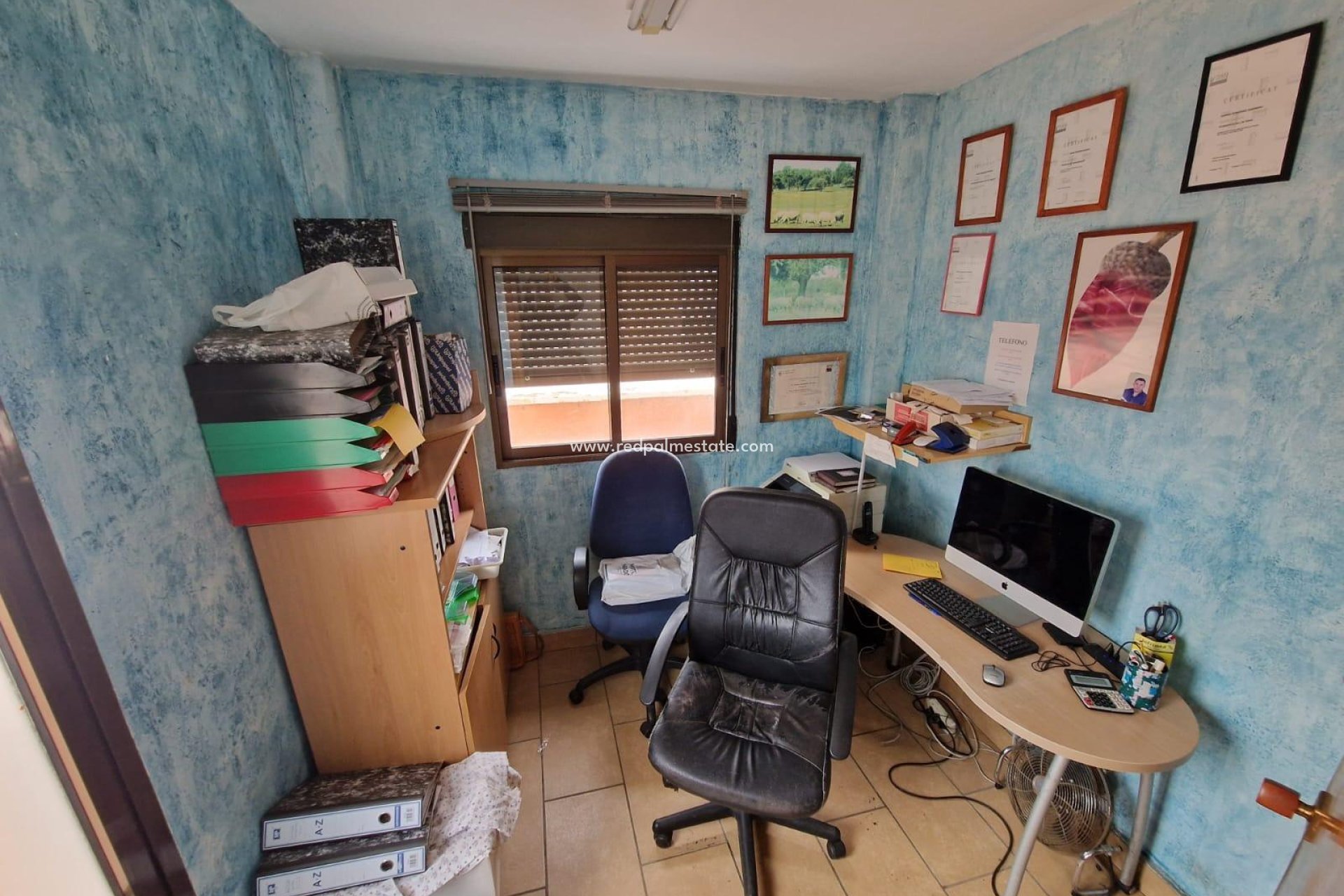 Revente - Entreprise -
Torrevieja - Center