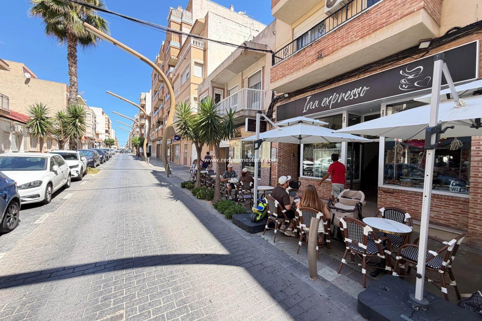 Revente - Entreprise -
Torrevieja - Centro Torrevieja
