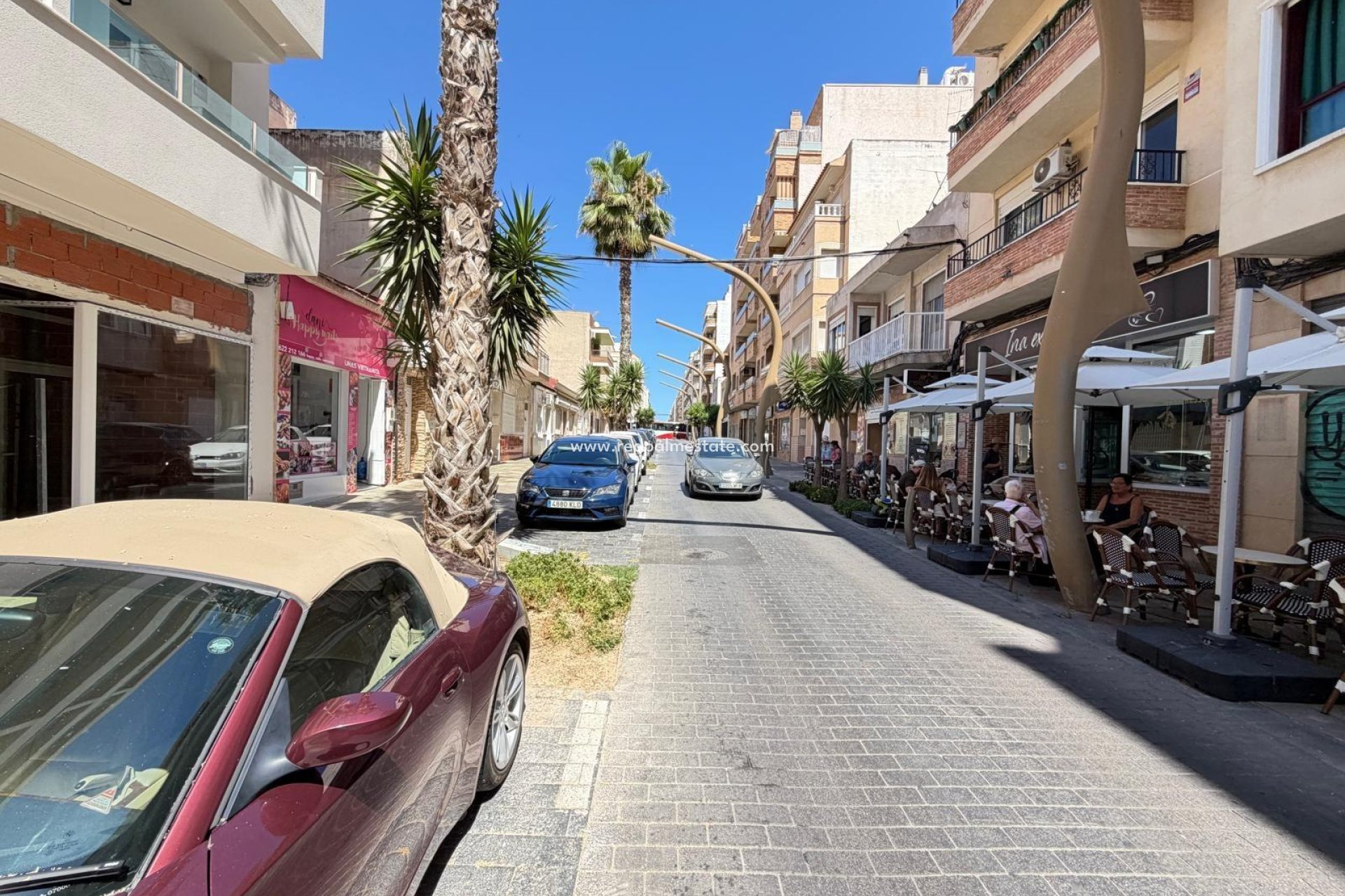 Revente - Entreprise -
Torrevieja - Centro Torrevieja