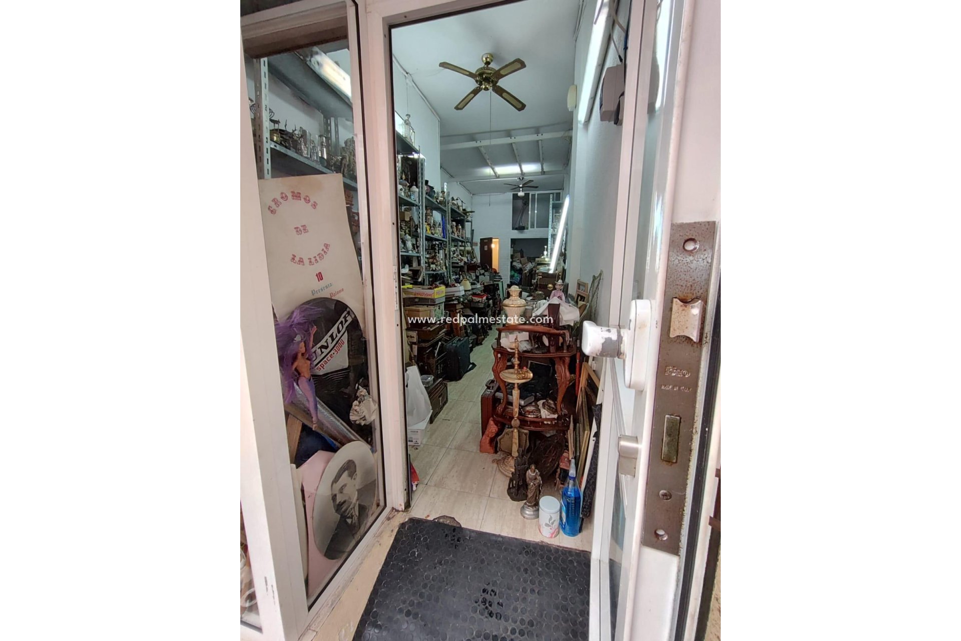 Revente - Entreprise -
Torrevieja - Centro Torrevieja