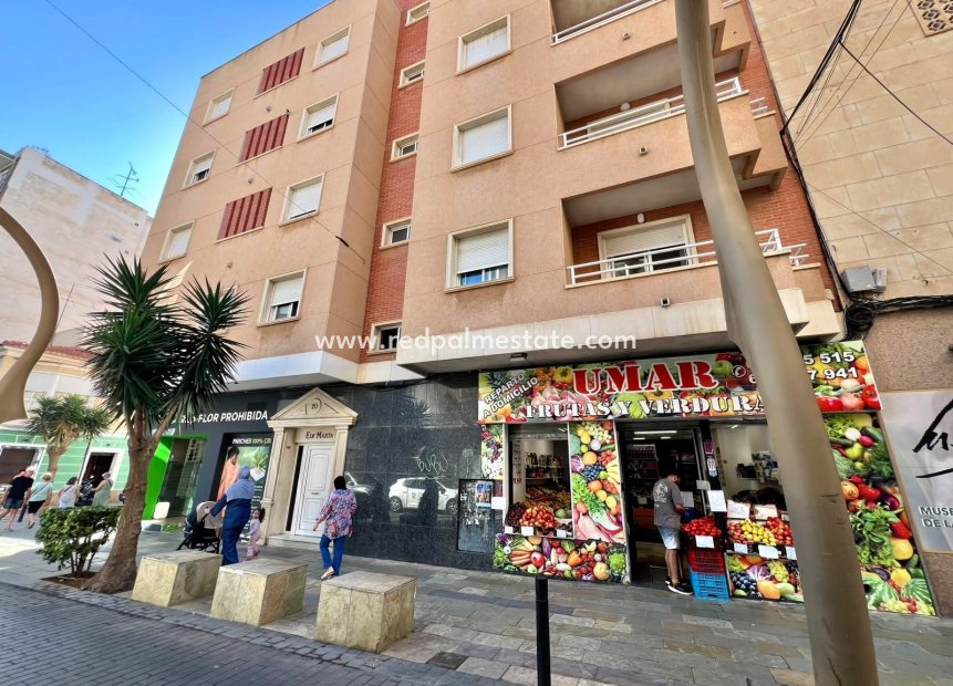 Revente - Entreprise -
Torrevieja - Centro Torrevieja