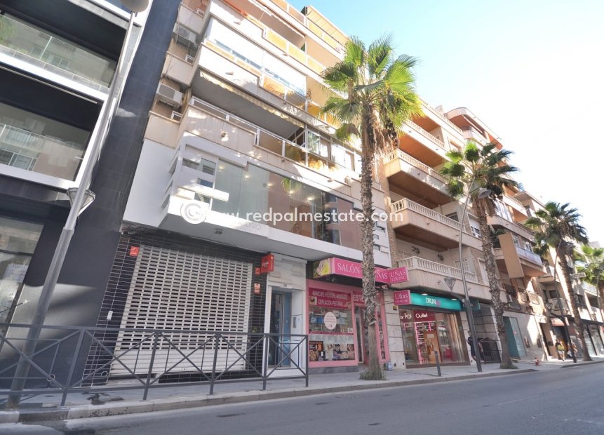 Revente - Entreprise -
Torrevieja - Centro Torrevieja