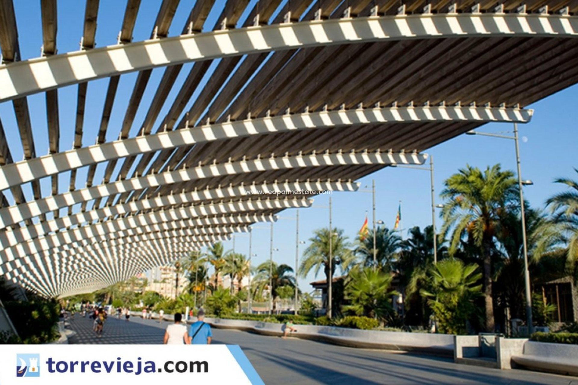 Revente - Entreprise -
Torrevieja - Centro Torrevieja