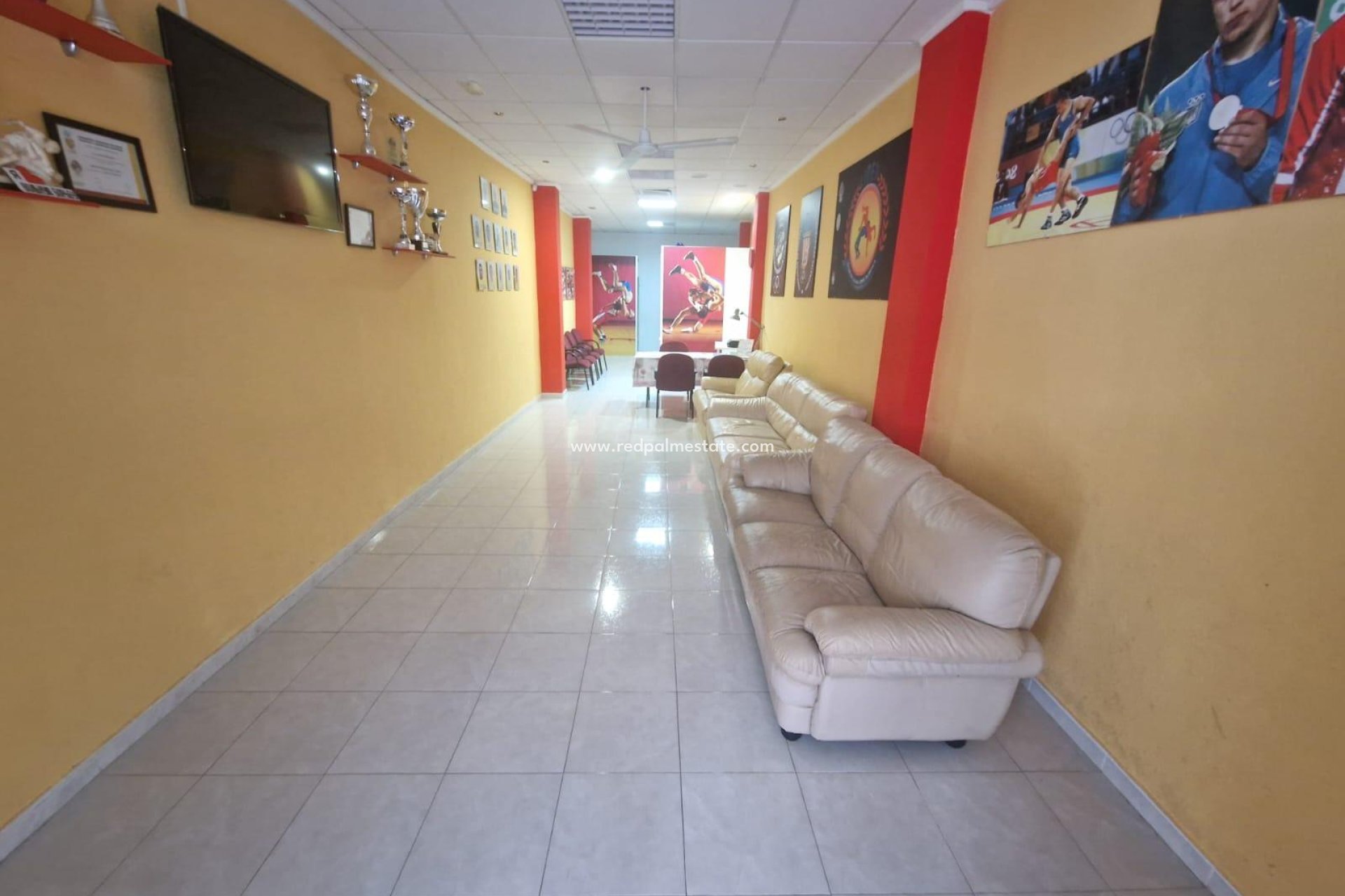 Revente - Entreprise -
Torrevieja - Centro Torrevieja