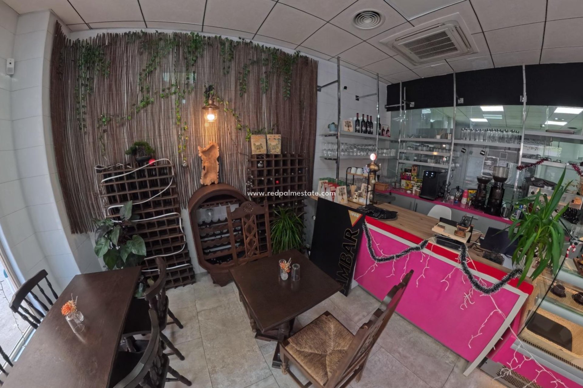 Revente - Entreprise -
Torrevieja - Centro Torrevieja